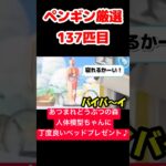 【あつ森】ペンギン厳選137匹目 #vtuber  #ゲーム実況