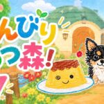 【あつ森】 #17 更地にして島を作り直し中！ 〈寝落ちや作業のお供や聞き専もOK！〉