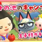【あつ森】王子様ガチャ💖秋の家具でハートの池のキャンプ場を島クリエイトライブ #2【あつまれどうぶつの森】