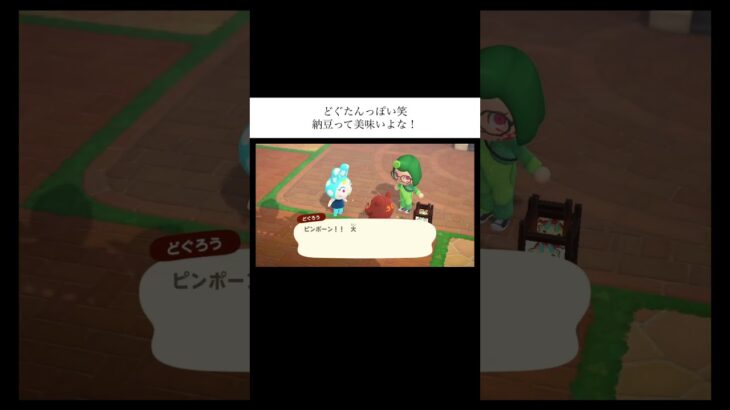 あつ森 尊き2人の会話♡