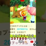 【あつ森】カブを20万ベル分買ってみた🌱💰｜その②