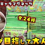 あつ森キャラマグネッツ全24種コンプするために2箱大人買いしたから開封していきます！【あつまれどうぶつの森 あつ森】