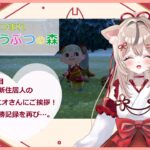 【あつ森】25日目 新住居人さんにご挨拶！そして再び蜂連勝記録へ…。