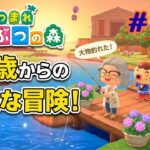 #2４【あつ森】６５歳のばぁばがライブ配信頑張ります。今回も無言！BGMのように？　よろしくお願いします。