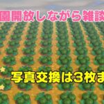 (あつ森)野菜収穫＆写真交換は3枚まで