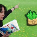 本物の図鑑で行くあつもり‼ ＃35【あつまれ どうぶつの森】