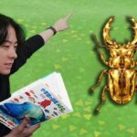 本物の図鑑で行くあつもり‼ ＃37【あつまれ どうぶつの森】