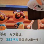 【あつ森】カブ価382＿チャンネル登録、高評価お願いします。