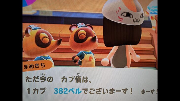 【あつ森】カブ価382＿チャンネル登録、高評価お願いします。