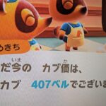 【あつ森】カブ価407＿チャンネル登録、高評価お願いします。