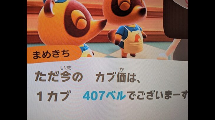 【あつ森】カブ価407＿チャンネル登録、高評価お願いします。