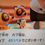 【あつ森】カブ価451＿チャンネル登録、高評価お願いします。