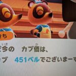 【あつ森】カブ価451＿チャンネル登録、高評価お願いします。