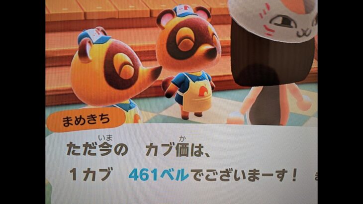 【あつ森】カブ価461＿チャンネル登録、高評価お願いします。