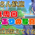 【#あつ森配信  】5分だけ配信見ませんか！イザベラに2時間かかりました！写真周回配信！ #239 #あつまれどうぶつの森  #雑談配信
