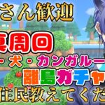 【#あつ森配信  】5分だけ配信見ませんか！ゲリラ離島ガチャ30連！写真周回配信！ #247 #あつまれどうぶつの森  #雑談配信