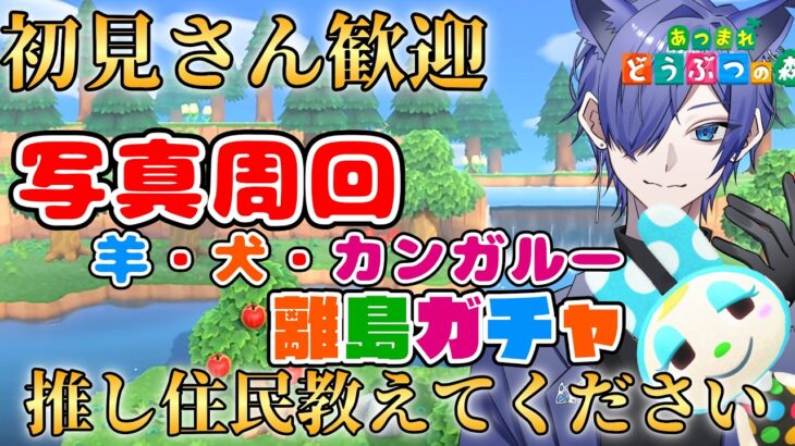 【#あつ森配信  】5分だけ配信見ませんか！ゲリラ離島ガチャ30連！写真周回配信！ #247 #あつまれどうぶつの森  #雑談配信