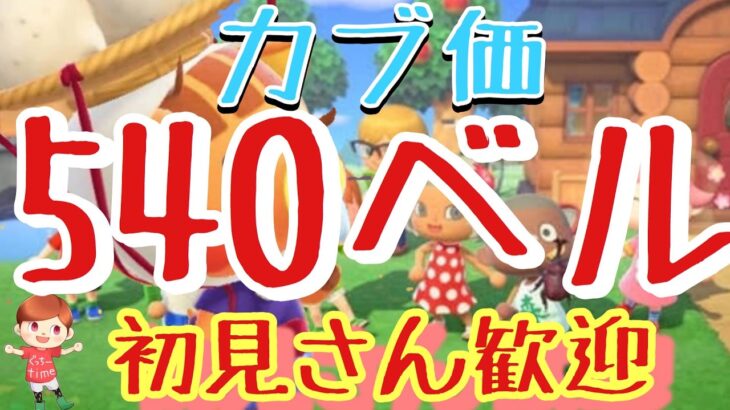 【あつ森】カブ価540ベル島など　ライブ参加型