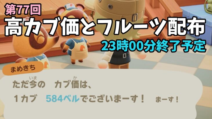 【あつ森】カブ価584ベル(続きの続き)と全種フルーツを配布！ニンダイ見守りながらまったりカブ活初心者歓迎