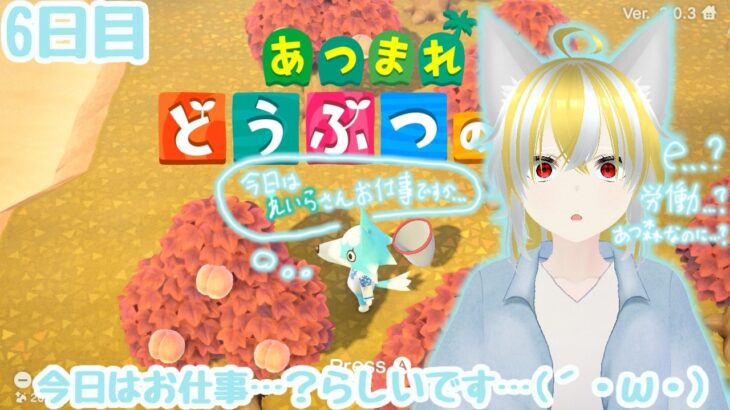 【あつ森ハピパラ】もしかしてぇ…労働ですかぁ？！【神様見習いの自由気ままな無人島暮らし6日目】