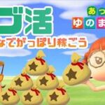 【あつ森】カブ活配信＊売値614ベル買値92ベル