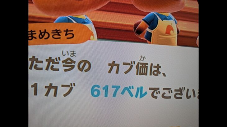 【あつ森】カブ価617＿チャンネル登録、高評価お願いします。