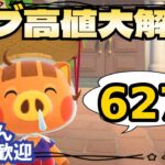 【あつ森実況】627ベルカブ活！！参加型！【初見さん歓迎！】