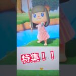 【あつ森】8月の収穫 #あつ森 #あつまれどうぶつの森 #夏休み #仲良し #昆虫採集#釣り