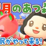 【あつ森】9月の楽しみ方！新住民がやってくるライブ【あつまれどうぶつの森】