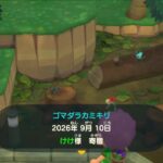 【あつ森🍃】はやおき朝活🐱9/10【博物館～🐣】