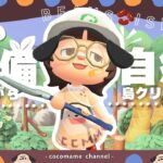【あつ森🫘￤島クリ】目指せ‼おしゃれ島！『たぬき商店』周りを自然でモリモリにする🌳【9/16(水)】