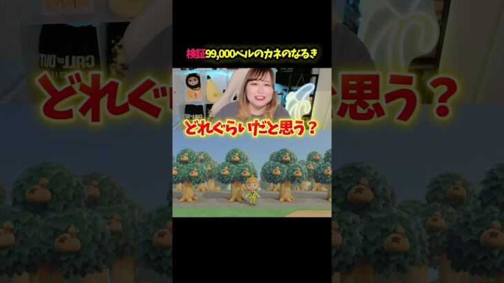 99,000ベルの「カネのなるき」何本できる？【あつ森】 #検証
