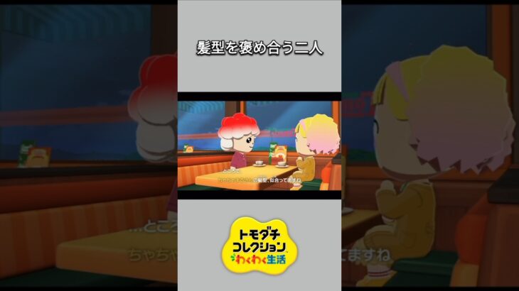 【トモコレ】髪型を褒め合うマリーとちゃちゃまる😆【あつ森】【トモダチコレクションわくわく生活】【ACNH】 #short