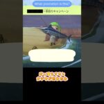 【あつ森】 安いのにレア？　Cheap but rare？