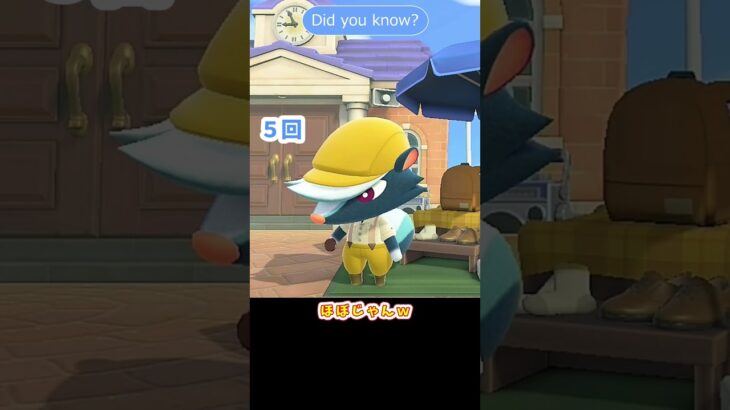 【あつ森】 シャンクの秘密　Did you know？