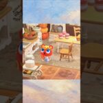 【あつ森】File 025 | キャロラインさま《あこがれのカントリーハウス》 | ハピパラ ACNH 快樂家樂園 #あつ森 #あつまれどうぶつの森