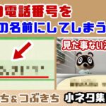 【あつ森】自分の電話番号を島民の名前にしてしまうと……見た事ない演出が！？「まめきち・つぶきち」に隠れた細かすぎる小ネタ集！【あつまれ どうぶつの森】@レウンGameTV