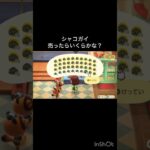How much Bells can I make by selling everything? 　　#vlog #あつ森 #あつまれどうぶつの森 #こはくちゃんねる2424   #毎日更新　