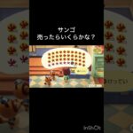 How much Bells can I make by selling everything? 　　#vlog #あつ森 #あつまれどうぶつの森 #こはくちゃんねる2424   #毎日更新　