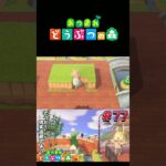 【あつまれ どうぶつの森】みんな大好きMBTI#ゲーム実況 #switch  #あつ森 #どうぶつの森 #あつまれどうぶつの森 #shorts  #switch2