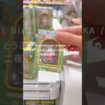 どうぶつの森グッズに散財した関西OLの退勤後爆買いvlog🛍️🍎