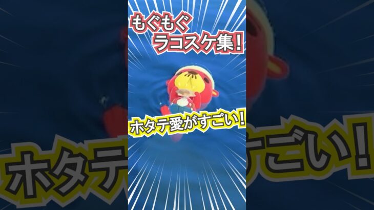 ラコスケはどれだけホタテ好きなの？笑【あつ森】 #Shorts #あつ森