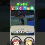 リンリン・・♪小さな音楽家♪【あつまれどうぶつの森】#Shorts #あつ森