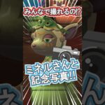 ハトの巣でカメラ目線にしてみたら…!【あつ森】 #Shorts #あつ森