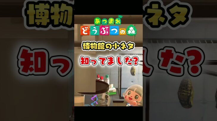 今まで知らなかった！アリとムカデがまさかの場所に…博物館の小ネタ【あつ森】 #Shorts #あつ森 #あつまれどうぶつの森 #AnimalCrossing #ゲーム実況 #切り抜き