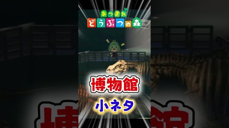 博物館の小ネタ！カメラ角度が変わる場所 #Shorts #あつ森 #あつまれどうぶつの森 #AnimalCrossing #ゲーム実況 #切り抜き