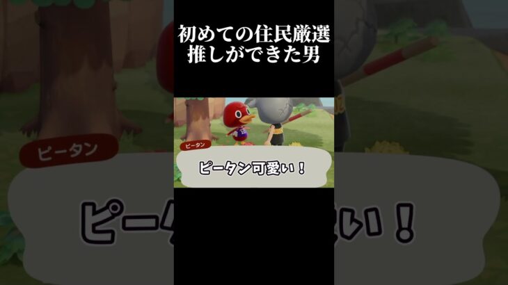 【あつ森】住民厳選、最後に選んだのはこの人【Switch2】