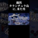 【あつ森】星に願いを。タランチュラ島で金稼ぎ【Switch2】
