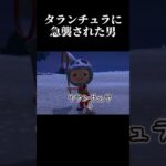 【あつ森】星に願いを。タランチュラ島で金稼ぎ【Switch2】