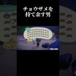 【あつ森】チョウザメがたくさん釣れました【Switch2】